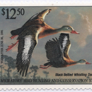 U.S. Federal Duck Stamp RW57 CV $20
