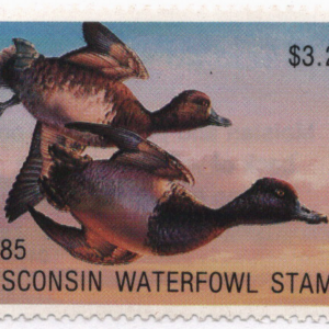 1985 Wisconsin Waterfowl Stamp Scott 8 CV $12.00