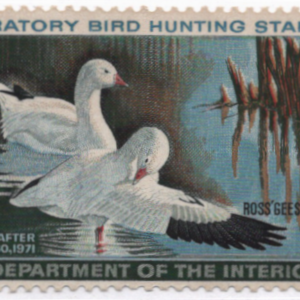 1970U.S. Federal Duck Stamp MNH Scott RW 37 CV $65