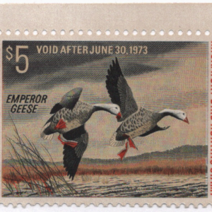 1972 U.S. Federal Duck Stamp MNH Scott RW39 CV $30